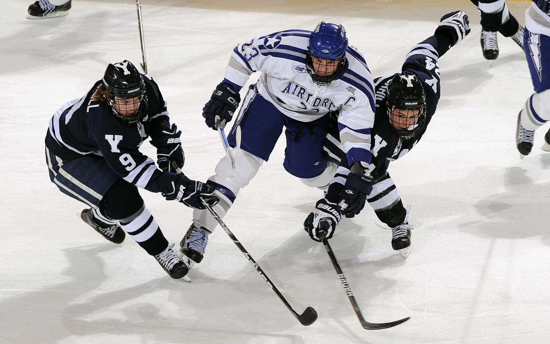 亚冠焦点战役点燃多地球迷热情